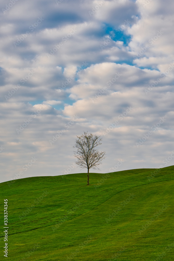 Obraz premium view in a beatiful landscape with blue sky
