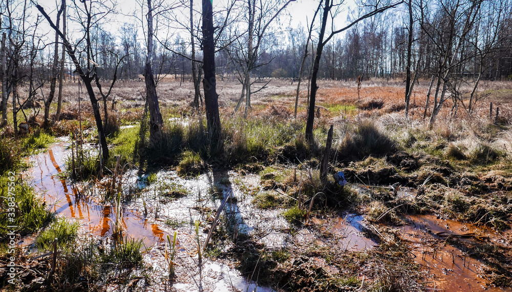 peat bog national nature reserve peat bog national nature reserve
