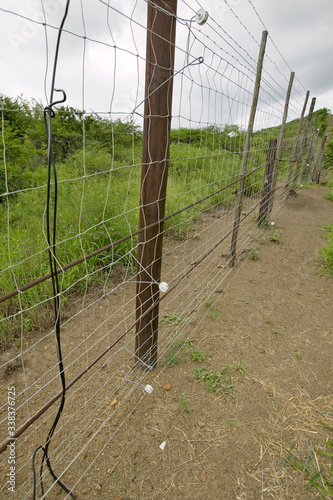 Electric fence of Siyakwemukela Hluhluwe Umfolozi Game Reserve, South Africa photo