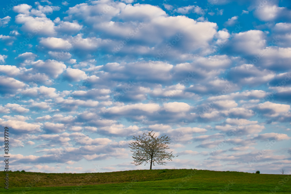 view in a beatiful landscape with blue sky view in a beatiful landscape with blue sky