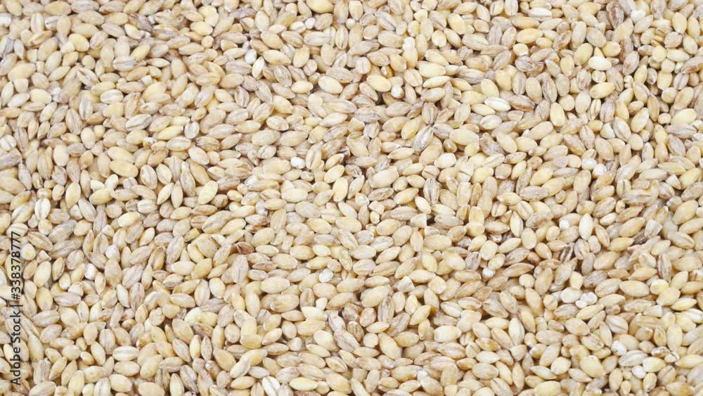 Pearl barley and various crops.White,raw beans,spin in a circle.Closeup shot. Pearl barley and various crops.White,raw beans,spin in a circle.Closeup shot.