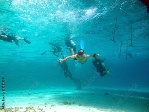  Free diver swimming underwater over vivid coral reef. Red Sea, Egypt 