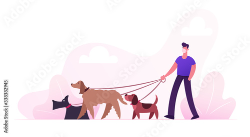 Male Character in Protective Medical Mask Walking with Dogs Team in Park at Coronavirus Quarantine. Care of Animals, Outdoor Activity. man Spending Time with Pets Outdoors. Cartoon Vector Illustration
