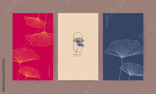 Set of minimal banner for branding packaging. Tropical summer plant. For spa resort luxury hotel, yoga, beauty, cosmetic, organic texture. Ginkgo leaf drawing line, vector illustration