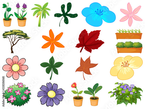 Large set of different plants on white background