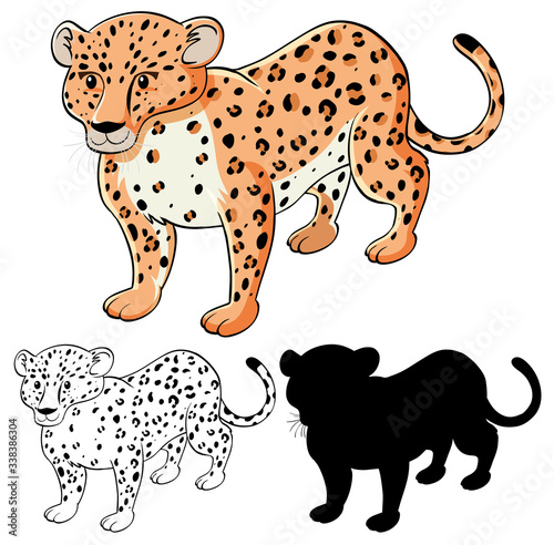 Set of leopard cartoon
