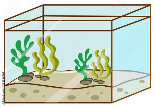 Fishtank with no fish inside on white background