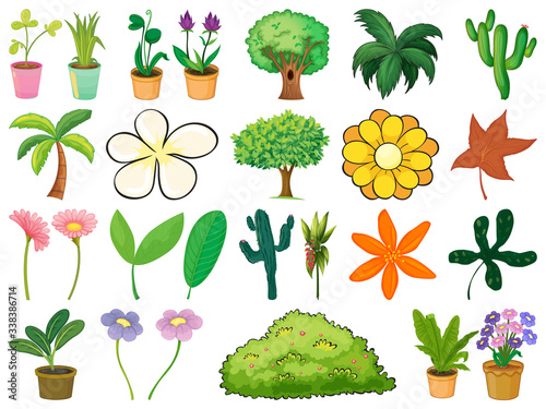 Large set of different plants on white background