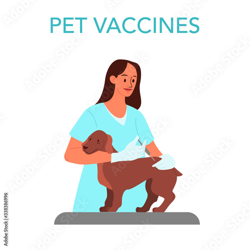 Pet vaccination concept. Veterinary doctor making a vaccine injection