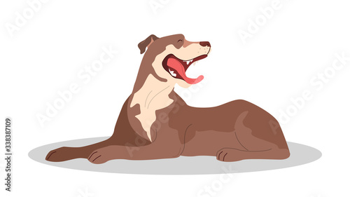 Cute yawning sleepy dog. Purebread pit bull lying.