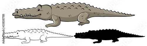 Set of crocodile cartoon