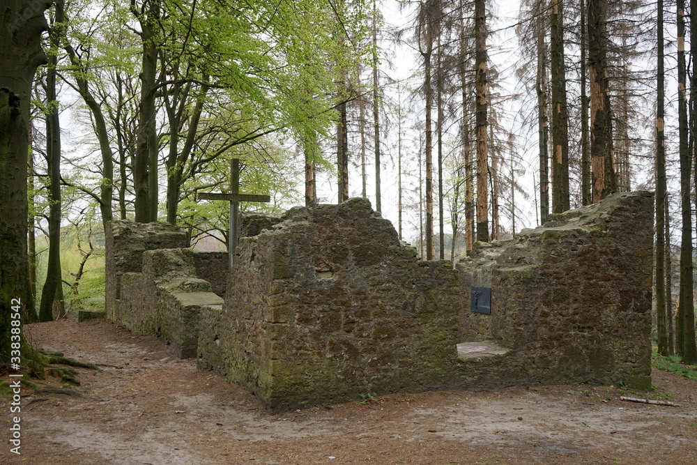 Φωτογραφία Hünenkapelle auf dem Tönsberg bei Oerlinghausen, Kreis Lippe, Ostwestfalen-Lippe