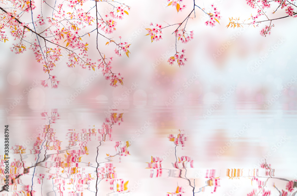 Reflection in water. Natural background where the focus is as soft as it is in a dream with bokeh. Floral abstract background.