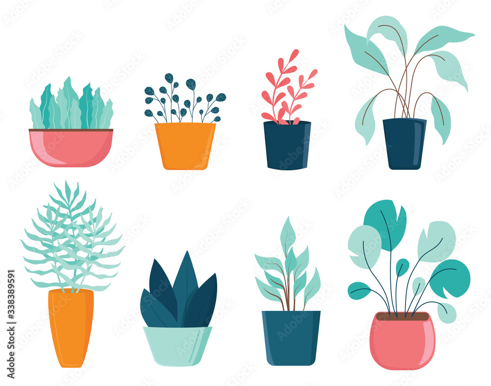 Set of different house plants with green leaves in pots. Set of different house plants with green leaves in pots.
