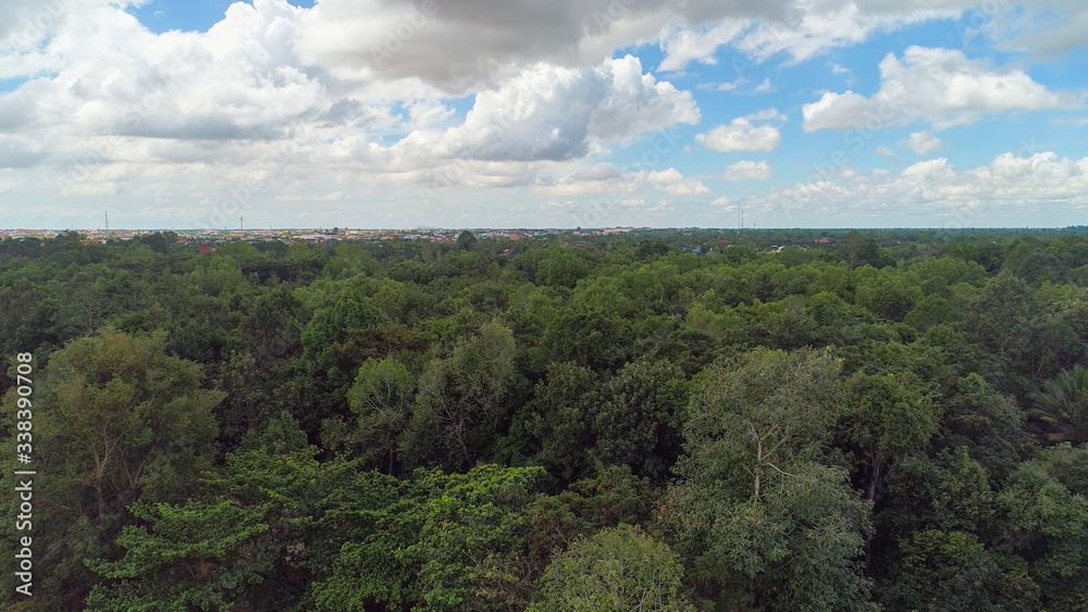 Paysage de Siem Reap au Cambodge vue du ciel