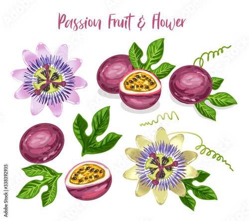 Fototapeta Naklejka Na Ścianę i Meble -  Passion fruit and flower set