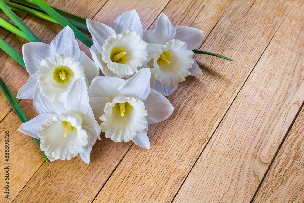 Beautiful flowers of white daffodils on wooden background