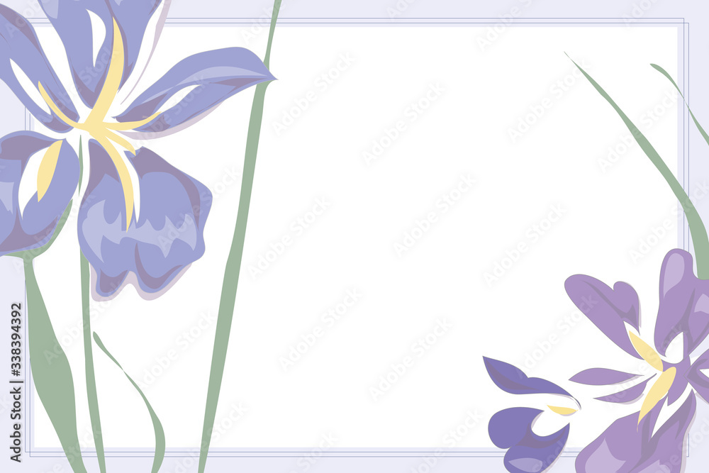 Obraz premium Image of Iris for the boys celebration, Tango no sekku, for greeting 