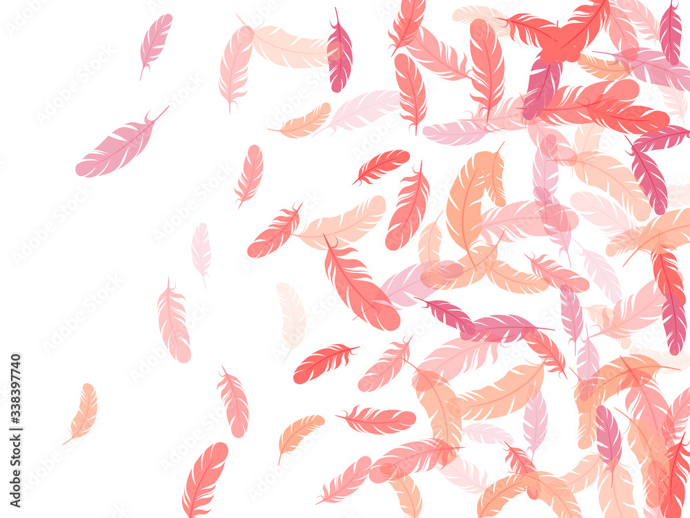 Flying feather elements airy vector design.