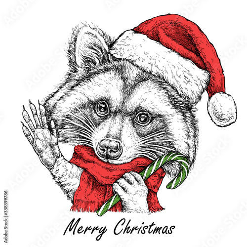 Christmas card with cute Raccoon  portrait in red Santa's hat and scarf. Vector illustration