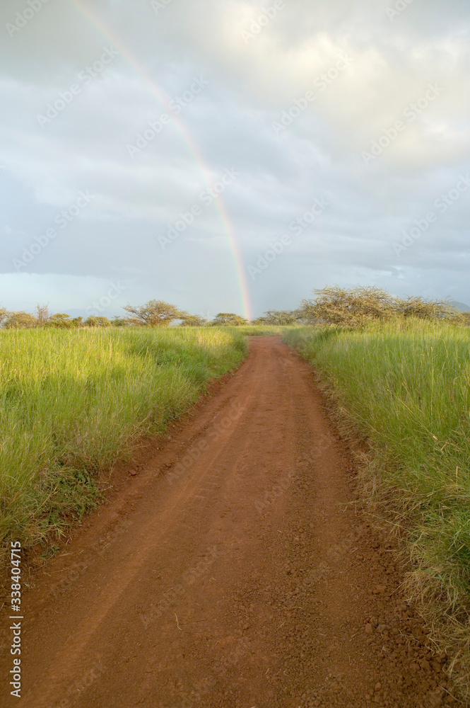 Dirt road to a rainbow through green grasslands of Lewa Wildlife Conservancy in North Kenya, Africa