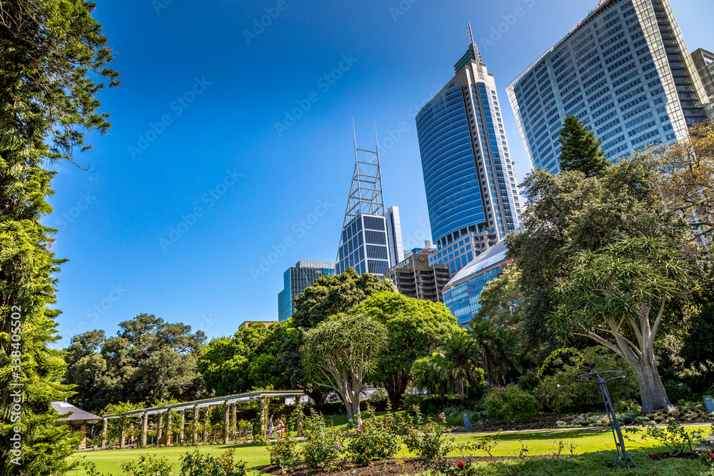 Sydney, Australia - 10th February 2020: A German photographer visiting the city center, taking pictures of a park with a view to the skyline. Sydney, Australia - 10th February 2020: A German photographer visiting the city center, taking pictures of a park with a view to the skyline.