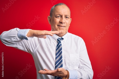 Senior handsome businessman wearing elegant tie standing over isolated red background gesturing with hands showing big and large size sign, measure symbol. Smiling looking at the camera. Measuring