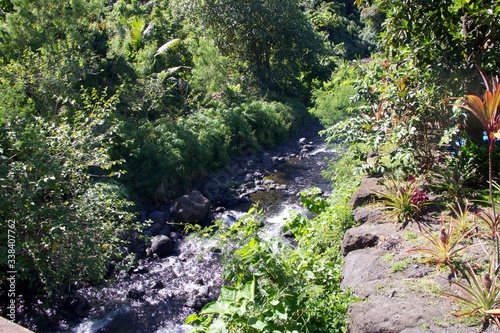Paysage de Polynésie