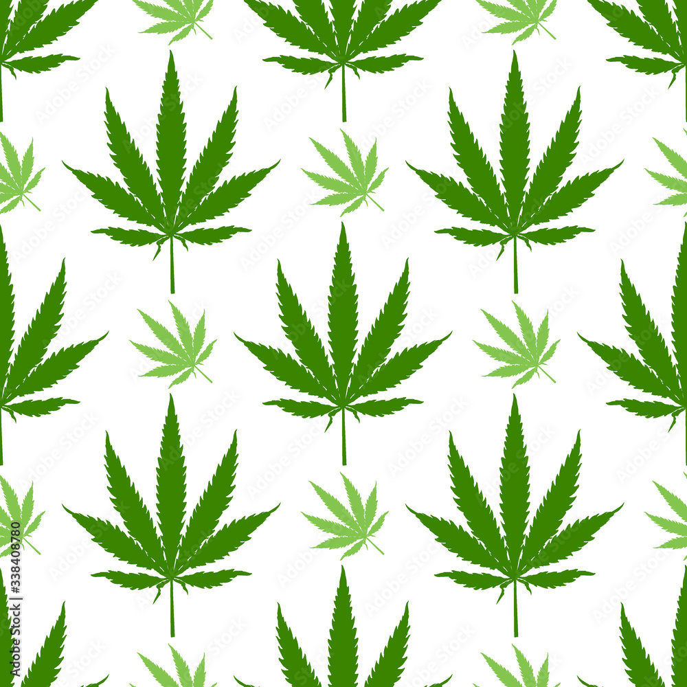 Weed Leaf Print. Marijuana or Cannabis Leaves Pattern. Vector Weed Leaf Print. Marijuana or Cannabis Leaves Pattern. Vector