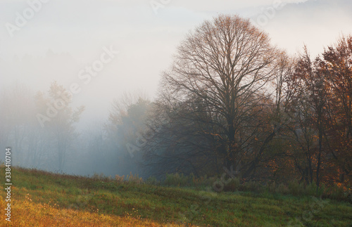 autumn foggy morning in bieszczady mountains