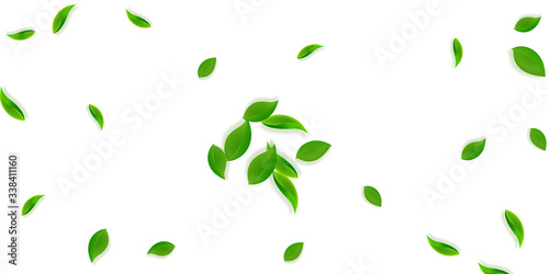 Falling green leaves. Fresh tea neat leaves flying
