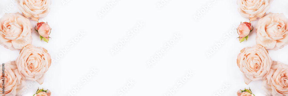 Spring background. Rose flowers on a white background. Flat lay. Copy space for your text. Spring background. Rose flowers on a white background. Flat lay. Copy space for your text.