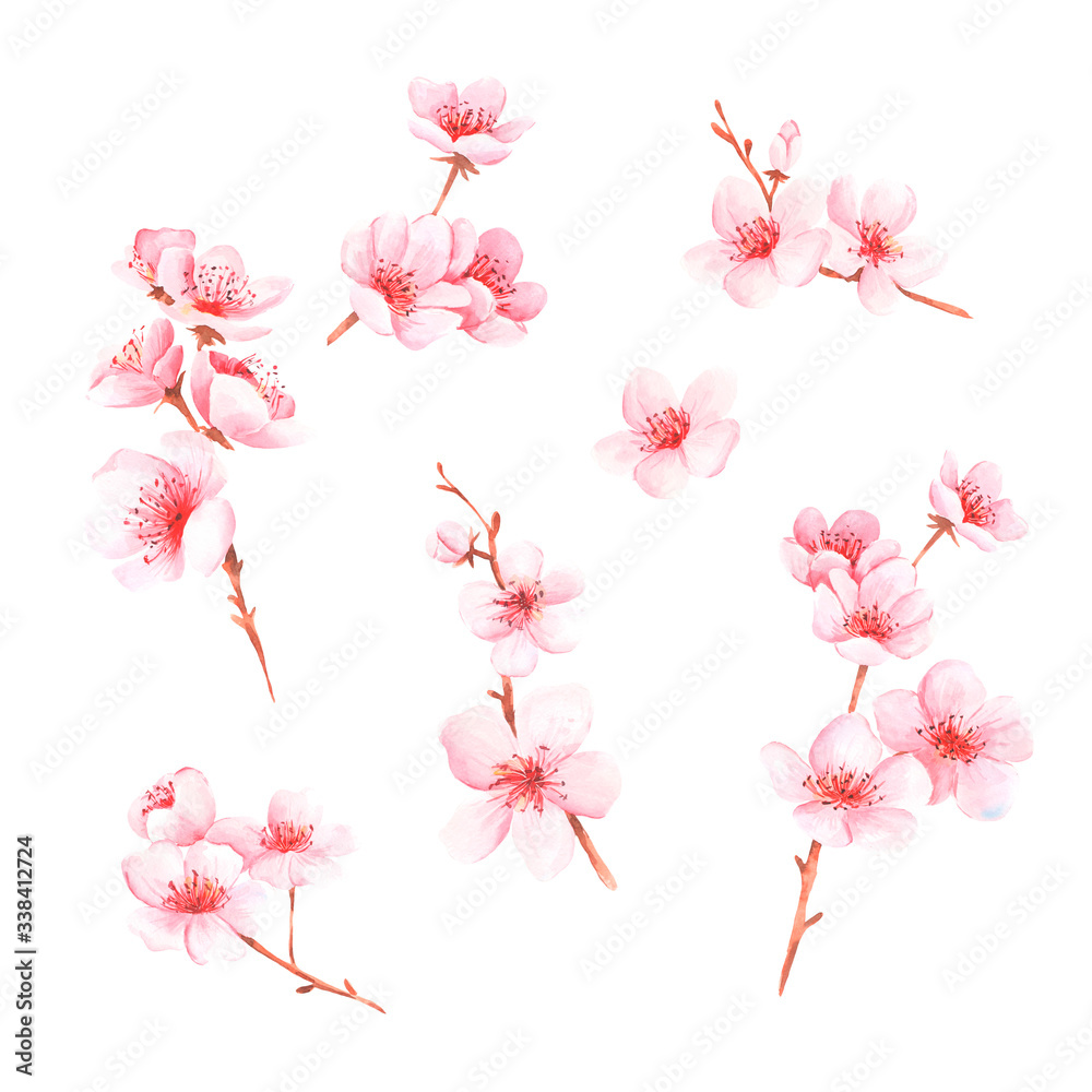 set with branches of cherry blossoms. Watercolor style