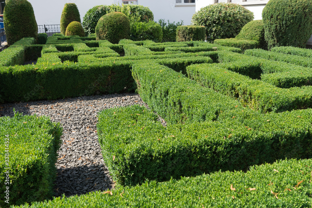 Geometrische Buchsbaumhecken - Labyrinth