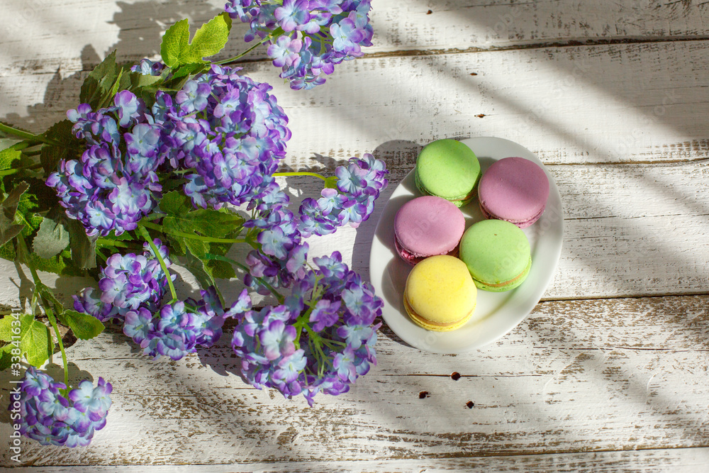 macarons and hydrangea morning light macarons and hydrangea morning light