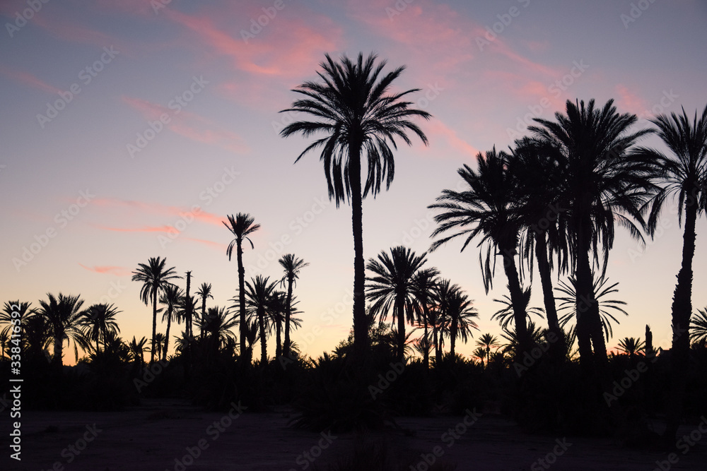 Siluetas de palmeras al atardecer con un cielo azul rojizo