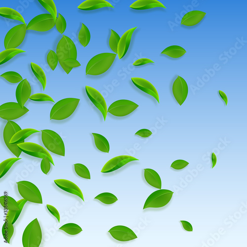 Wallpaper Mural Falling green leaves. Fresh tea chaotic leaves fly Torontodigital.ca