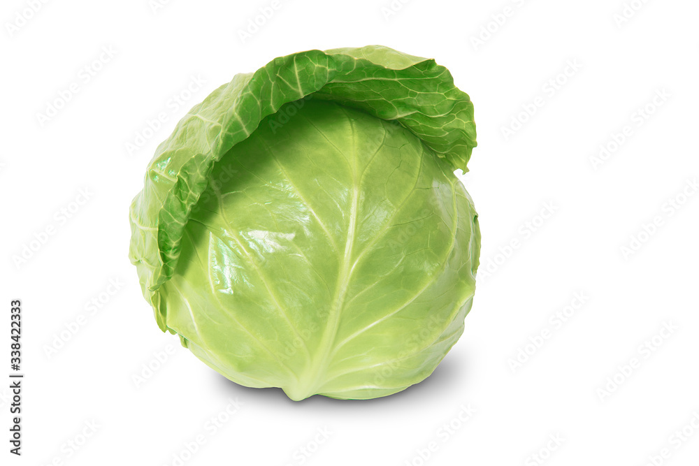 Cabbage isolated on white background