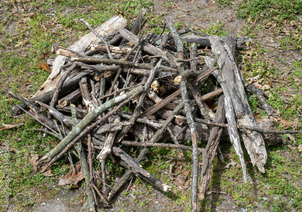 Stack of broken scrap branches on ground. Stack of broken scrap branches on ground.