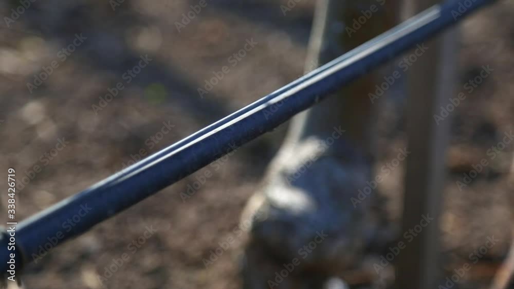 irrigation system in an industrial apple orchard. A drop of water falls to the ground for watering the tree. professional garden watering irrigation system in an industrial apple orchard. A drop of water falls to the ground for watering the tree. professional garden watering