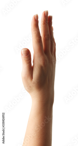 Woman Hands gestures on over white background. Isolated. © lotus_studio
