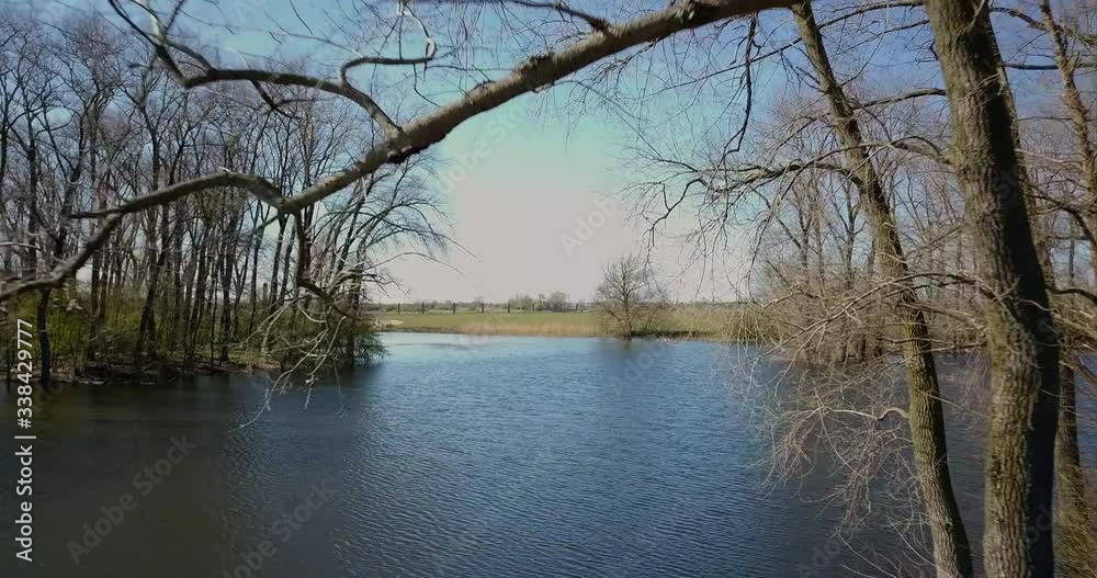 Drone shot aerial fly forward through the forest between trees over the lake in the winter with a beautiful blue sky. Drone shot aerial fly forward through the forest between trees over the lake in the winter with a beautiful blue sky.