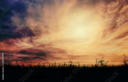 Silhouette of grass in the meadow against the sunset sky