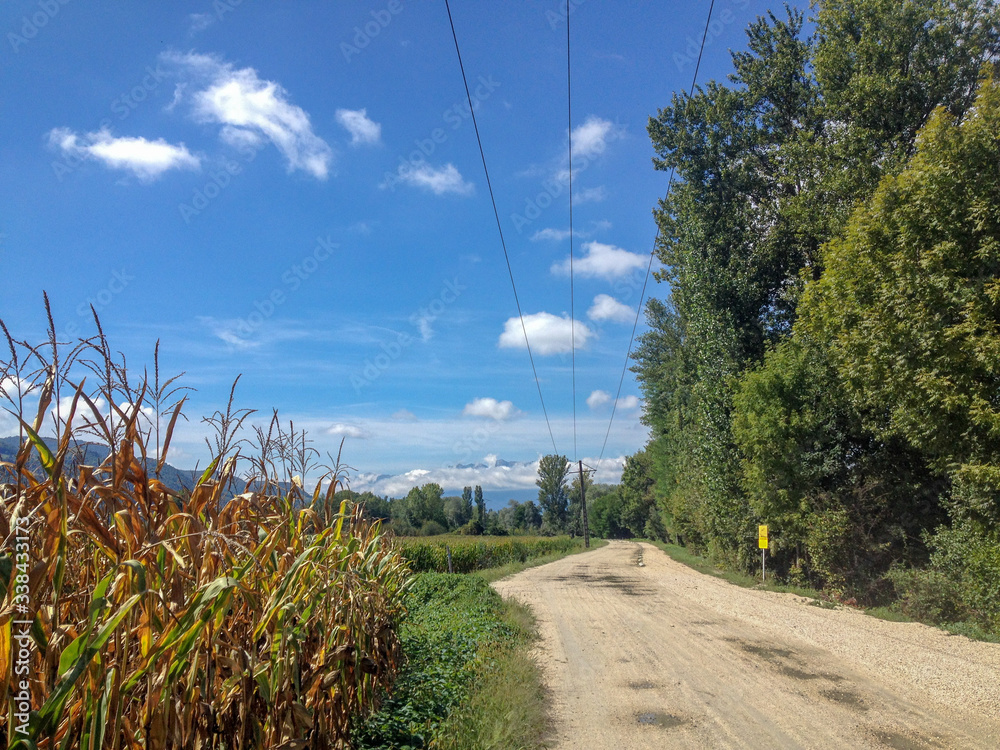 Rhone Alps Countryside