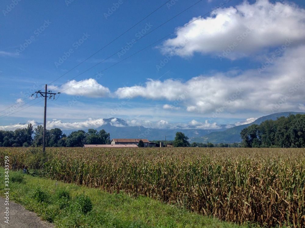 Rhone Alps Countryside
