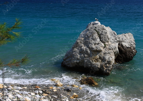 A bird sits on a rock off the coast of the Aegean Sea