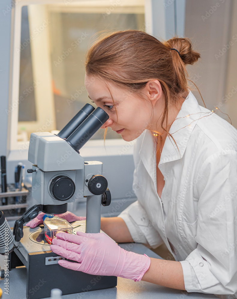 Fototapeta premium Girl scientist working in a laboratory with an electron microscope in the foreground