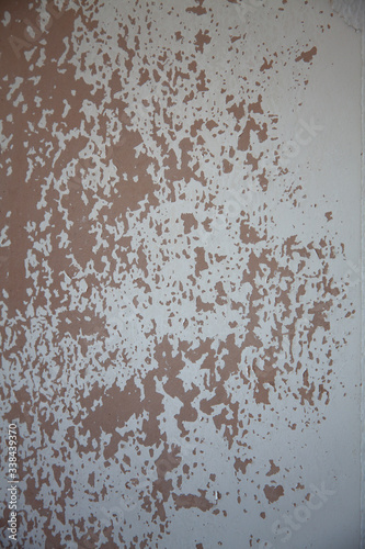 pealing wall paper / paint