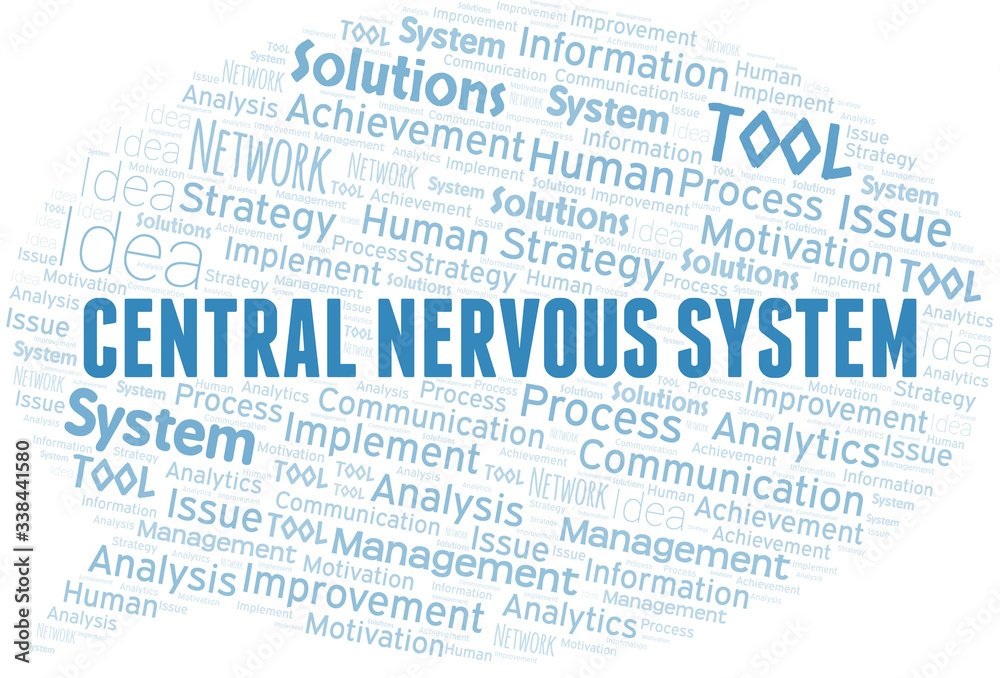 Central Nervous System typography vector word cloud. Central Nervous System typography vector word cloud.