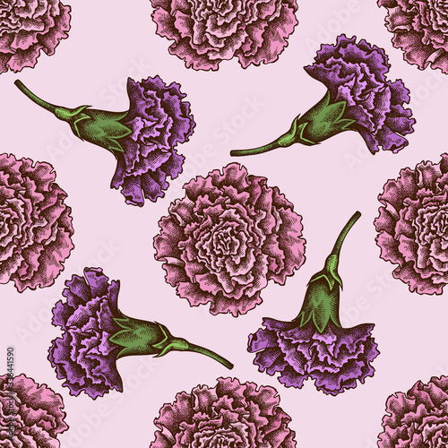 Seamless pattern with hand drawn colored carnation